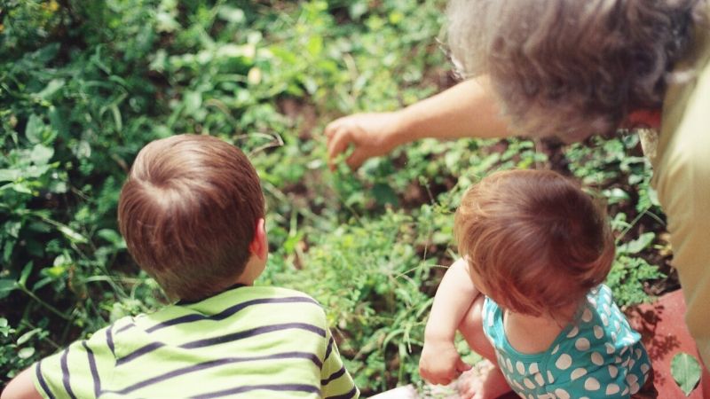 une grand-mère montrant des plantes à ses petits-enfants